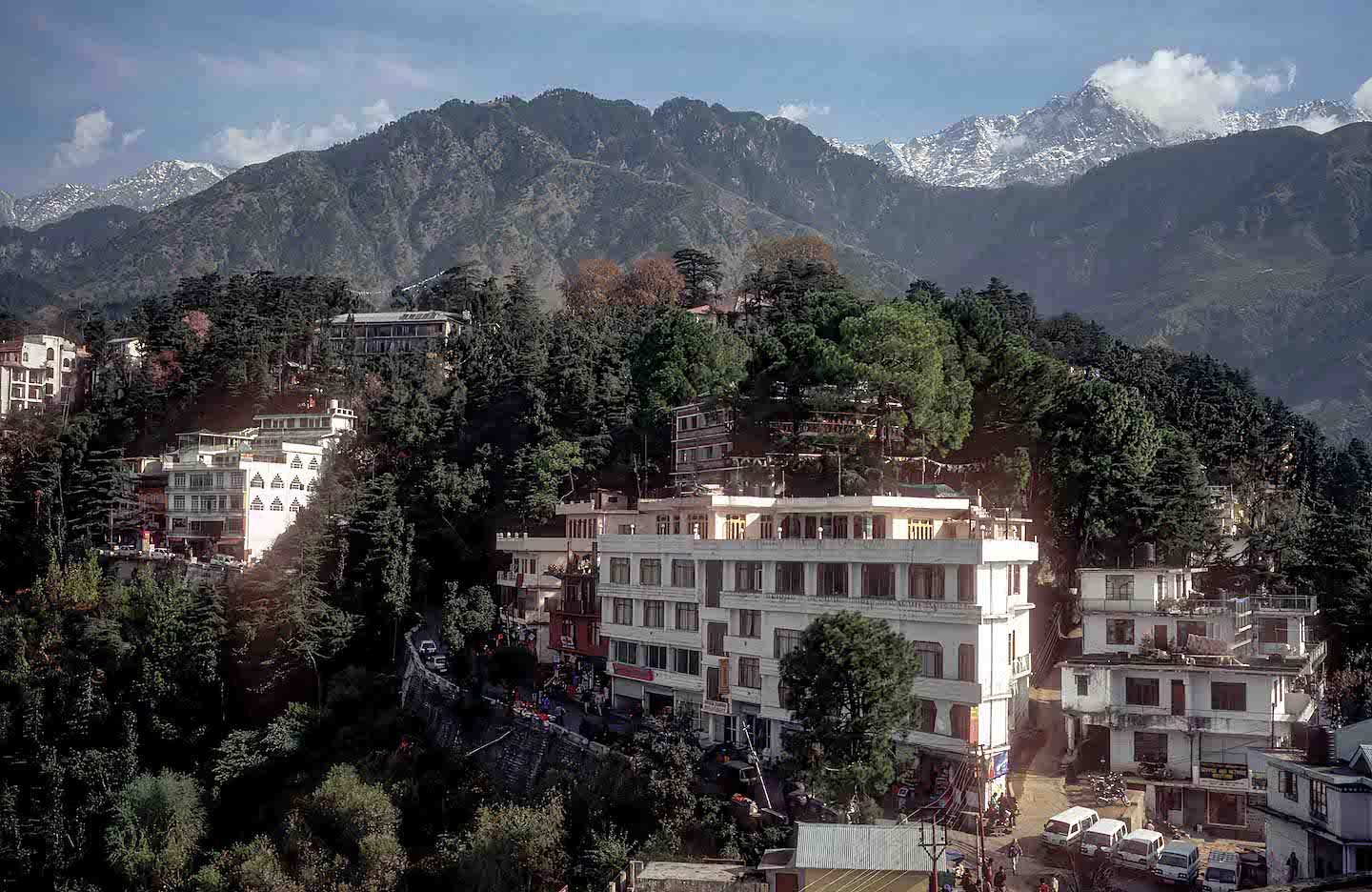 Scenic view of McLeod Ganj town surrounded by forest and snow-capped Dhauladhar mountains, Himachal Pradesh India