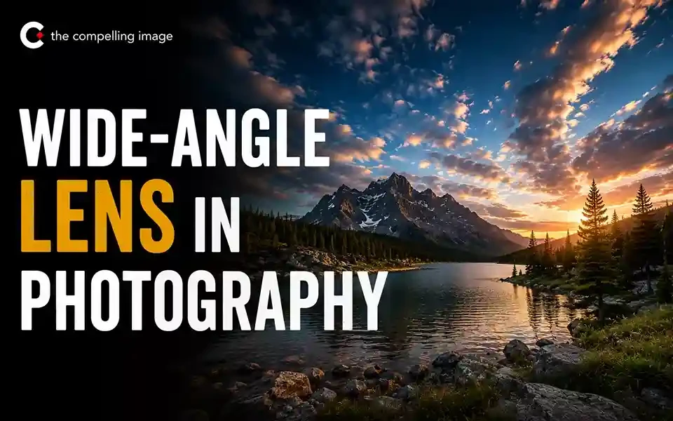 Wide-Angle Photography: What I Wish Someone Had Told Me When I Started