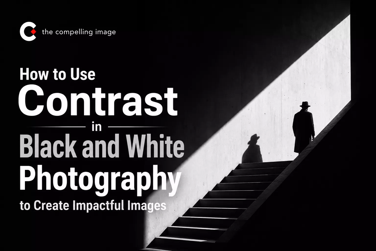 How to Use Contrast in Black and White Photography to Create Impactful Images